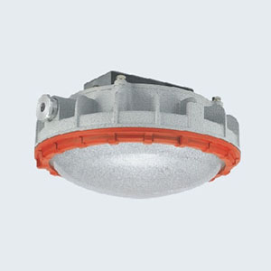 BZD180-111系列防爆免維護LED照明燈(IIC)