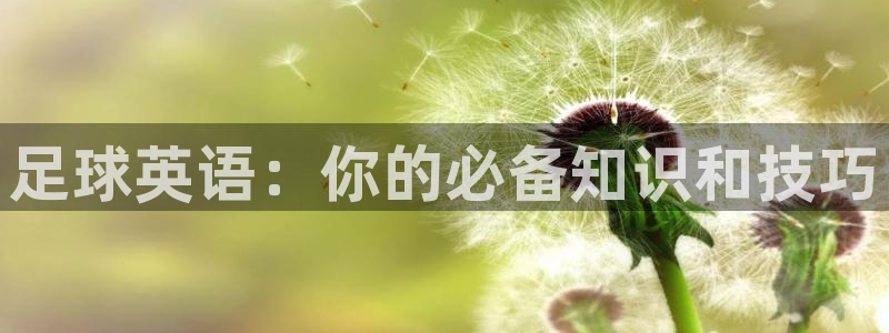 伟德国际体育官网注册