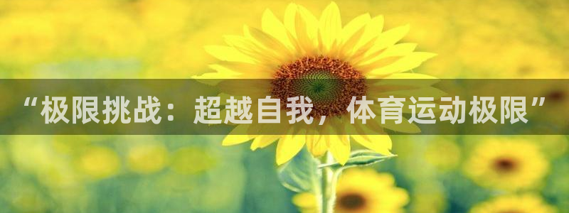 伟德国际体育凯捷平台代理