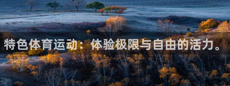 伟德国际平台